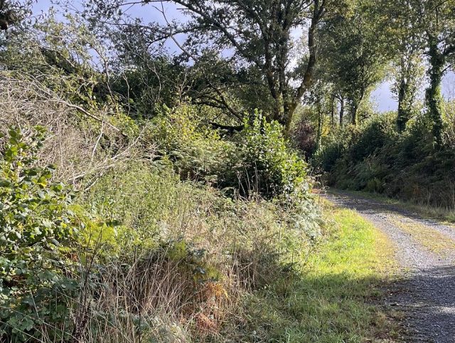 Bretagne Gravel: les engag-es