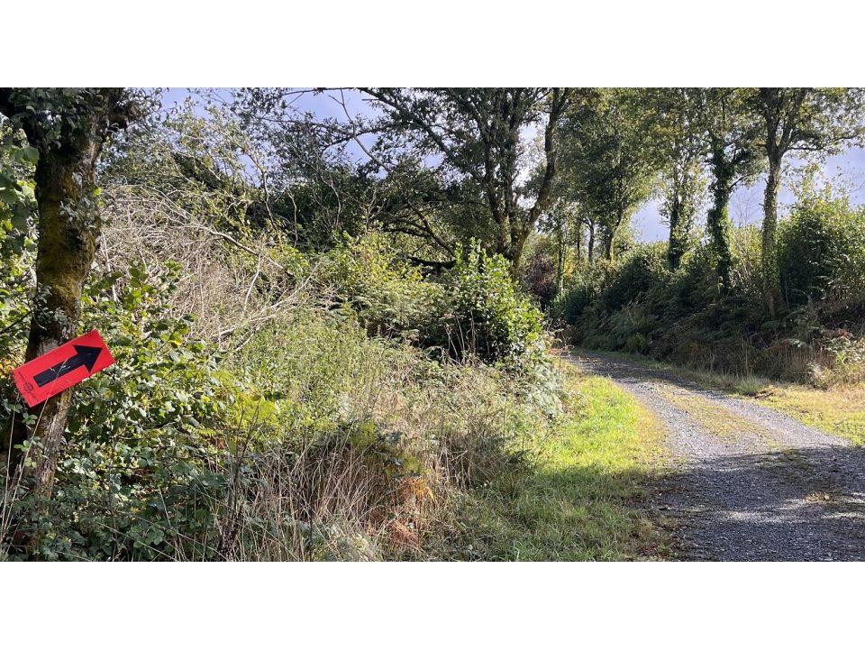 Bretagne Gravel: les engag-es